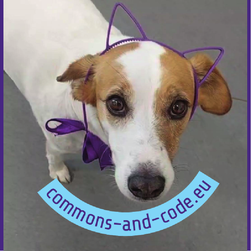 A picture of Lisa's dog Toni wearing 3D-printed purple cat ears at the founding assembly in Oct 2025. Below there's a banner with the association's website commons-and-code.eu.